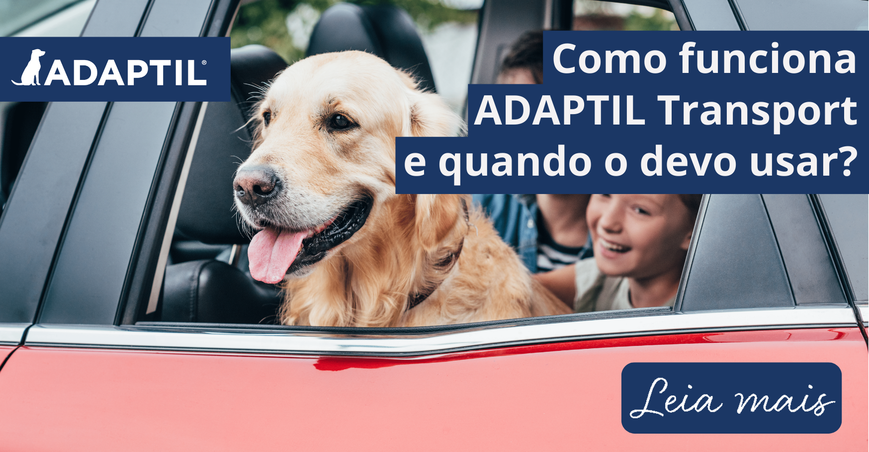 Como funciona ADAPTIL Transport Spray e quando o devo usar?
